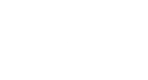 IndiaNIC Logo