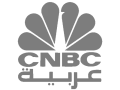 Cnbc logo in grey