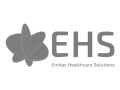 Emitac Healthcare Solutions Logo