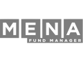 Mena logo in grey