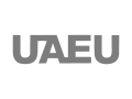 United Arab Emirates University Logo